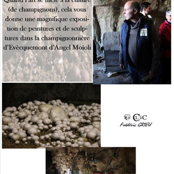 La Champignonnière d'Évecquemont 