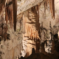 Grotte de Postojna - Slovénie - 10 juillet 2018